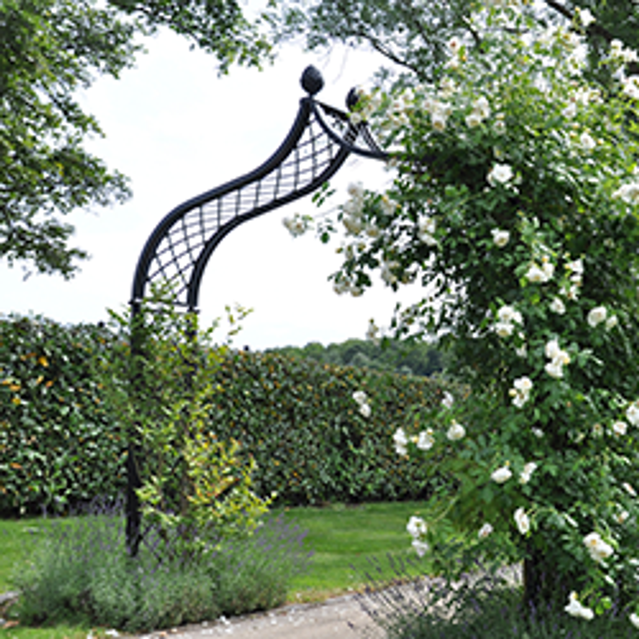 Garden Arches & Arbors